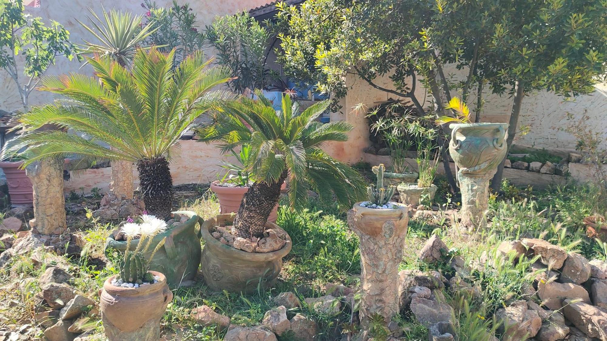 טאולאדה Casa Gaudi - House & Rooms מראה חיצוני תמונה